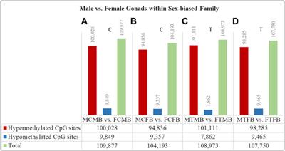 Epigenetic Regulation of Phenotypic Sexual Plasticity Inducing Skewed Sex Ratio in Zebrafish